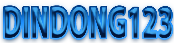 DINDONG123 Logo